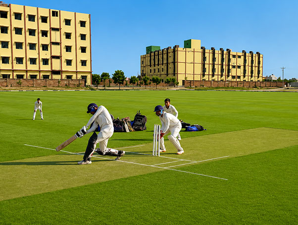Cricket